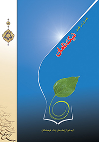 جلد گذری در کوی نیک‌نامان